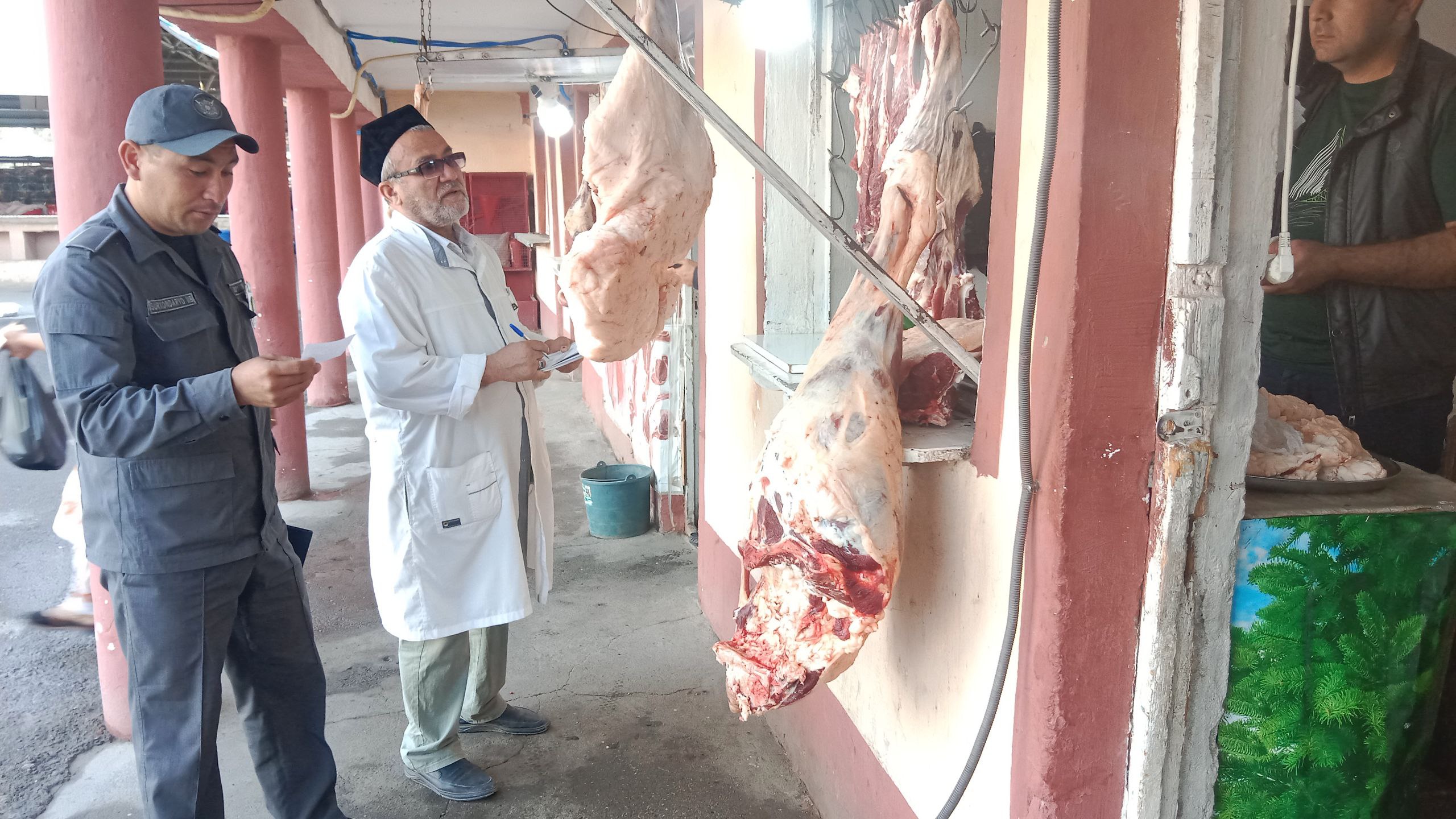 Сурхондарёда озиқ-овқат хавфсизлигини таъминлаш йўлида ўрганишлар олиб борилмоқда