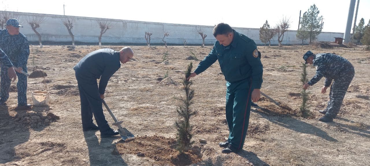 Kinologiya bo'linmasida manzarali ko'chatlar ekildi